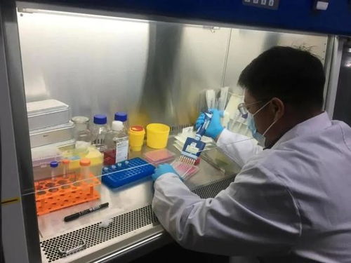 中国首款鼻喷式新冠疫苗即将进入临床试验 芬兰也有研发