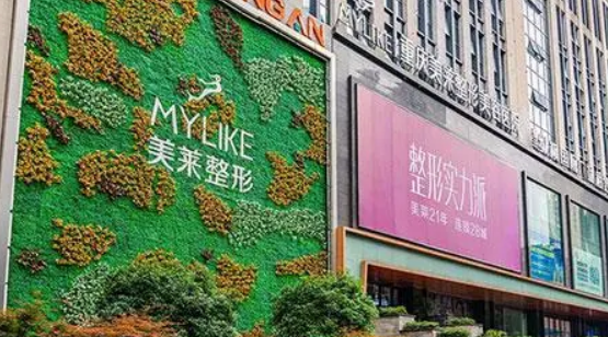 重慶美萊美容醫(yī)院隆胸果好嗎？案例分享