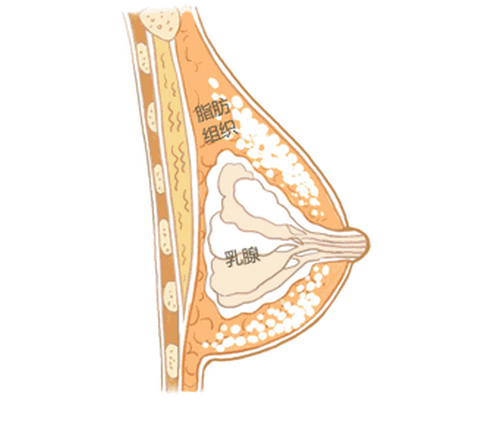 徐州新沂市人民醫(yī)院燒傷整形科怎么樣？真人隆胸案例