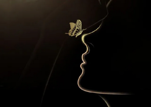 常州鼻子整形多少錢？更新費(fèi)用、醫(yī)院推薦來了