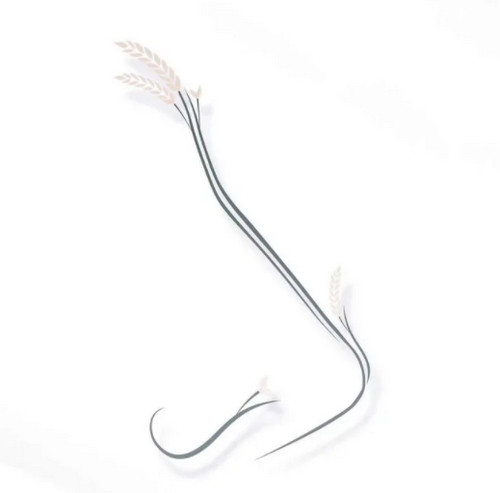 北京五洲整形醫(yī)院隆鼻案例分享，口碑醫(yī)院實力介紹