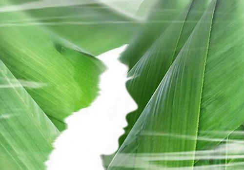 蘇州美萊整形醫(yī)院隆鼻怎么樣？案例+醫(yī)院資料一覽