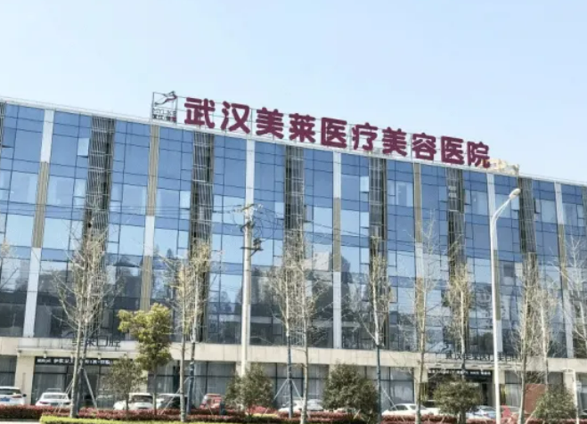 武漢美萊醫(yī)療美容醫(yī)院是公立醫(yī)院?jiǎn)?？詳情查看頜角案例/附項(xiàng)目問(wèn)答