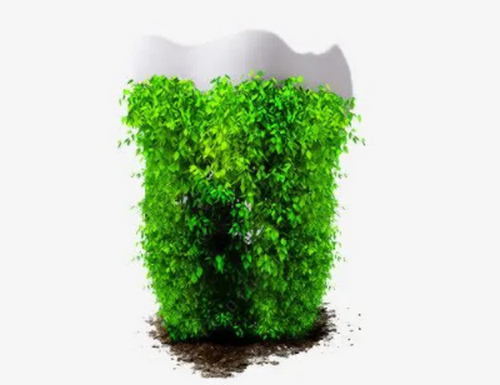 蘇州市中醫(yī)院補牙大概多少錢？醫(yī)生推薦、前門牙種植案例一覽