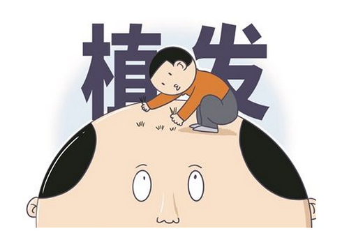 柳州華美整形醫(yī)院植發(fā)怎么樣？正規(guī)嗎？高人氣醫(yī)院值得了解