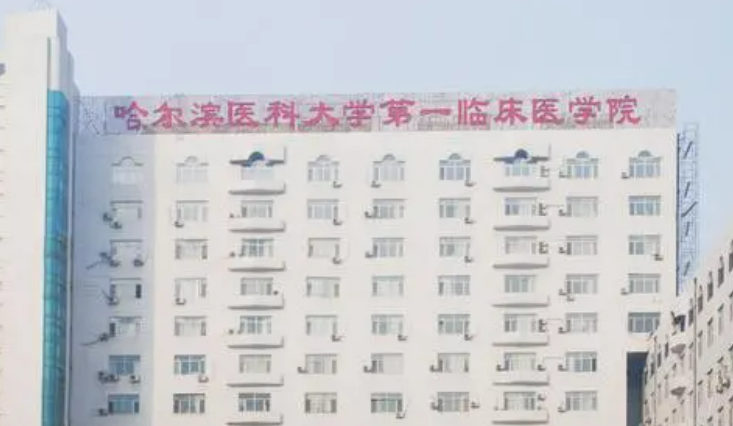 哈爾濱醫(yī)科大學(xué)附屬第二醫(yī)院整形美容科怎么樣?附隆鼻整形日記案例