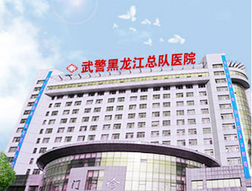 武警黑龍江總隊(duì)醫(yī)院整形美容中心面部填充怎么樣？醫(yī)生介紹+術(shù)后效果反饋