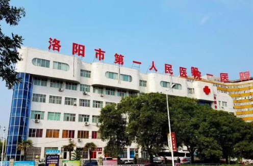 洛陽(yáng)市第一人民醫(yī)院填充多少錢(qián)，醫(yī)生從業(yè)經(jīng)歷術(shù)后案例口碑參考