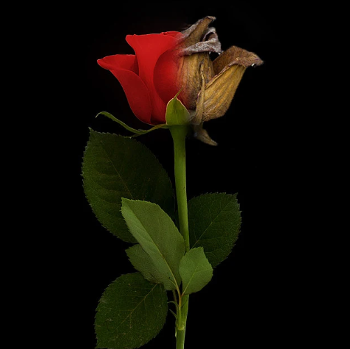 北京嘉禾婦兒醫(yī)院美容科私密整形多少錢？附收費價格表/術后感受分享