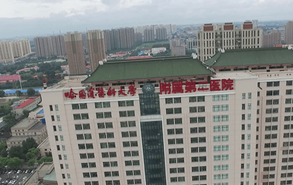 哈醫(yī)大二院整形科公立的，案例好不好