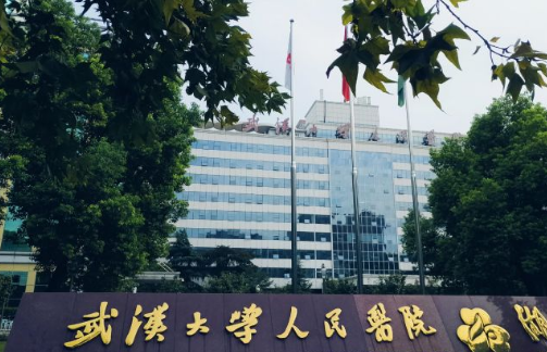 武漢大學(xué)人民醫(yī)院隆鼻手術(shù)效果展示/醫(yī)生名單/整形費(fèi)用