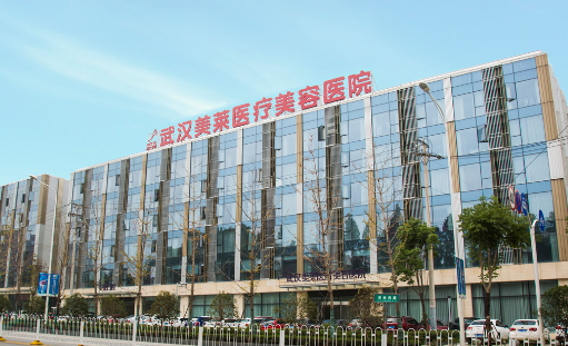 武漢美萊醫(yī)療美容醫(yī)院整形價格_專家口碑點評/案例分享