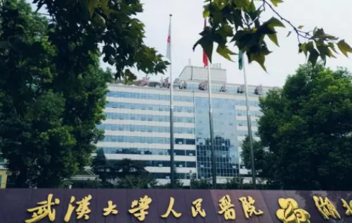 武漢大學(xué)人民醫(yī)院整形科那個(gè)醫(yī)生好？推薦指南：眼袋案例+價(jià)目