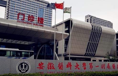 安徽醫(yī)科大學(xué)第一附屬醫(yī)院整形美容中心怎么樣？隆鼻技術(shù)點(diǎn)評，案例詳情