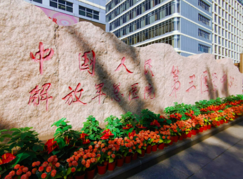 解放軍總醫(yī)院第三醫(yī)學(xué)整形中心，假體隆胸全新案例