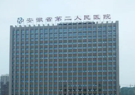 安徽省第二人民醫(yī)院燒傷整形科隆鼻需要多少錢？全新價格表新鮮出爐