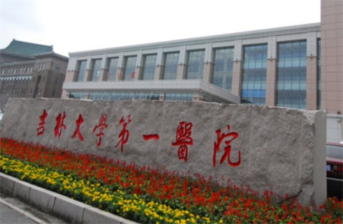 吉林大學(xué)第一醫(yī)院整形美容科技術(shù)水平如何？隆鼻術(shù)前術(shù)后圖片分享