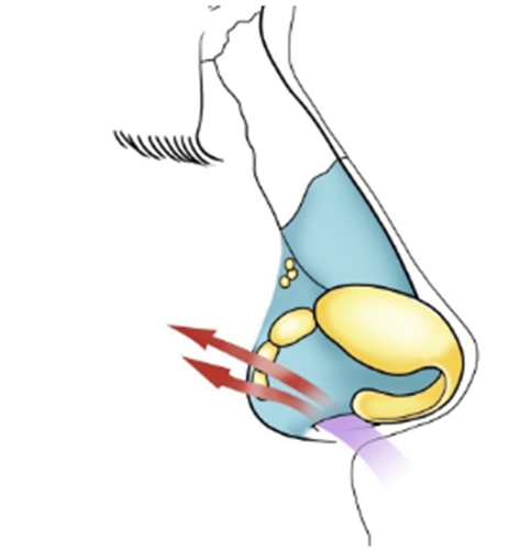 成都大華美容醫(yī)院怎么樣？一覽推薦、口碑點(diǎn)評(píng)、價(jià)格表等多重信息~