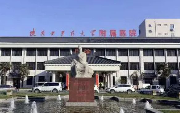陜西中醫(yī)藥大學(xué)附屬醫(yī)院整形美容科簡介、技術(shù)優(yōu)勢、口碑請?jiān)诰€查看！