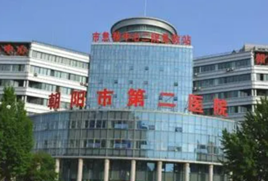 遼寧朝陽第二醫(yī)院怎么樣?醫(yī)院資料&收費標準&技術(shù)優(yōu)勢