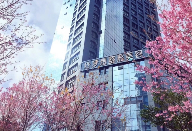 昆明夢想醫(yī)療美容醫(yī)院.png