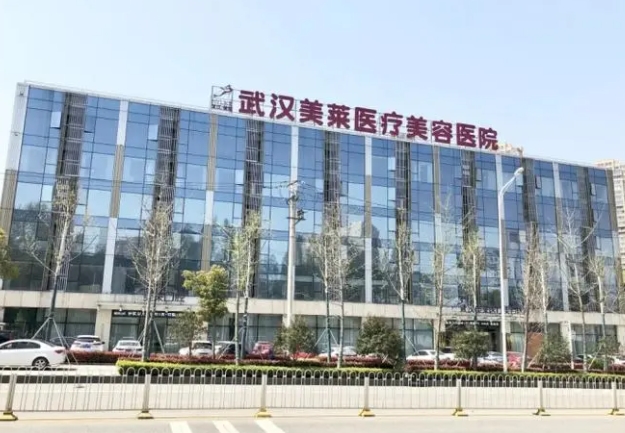 武漢美萊醫(yī)療美容醫(yī)院.png