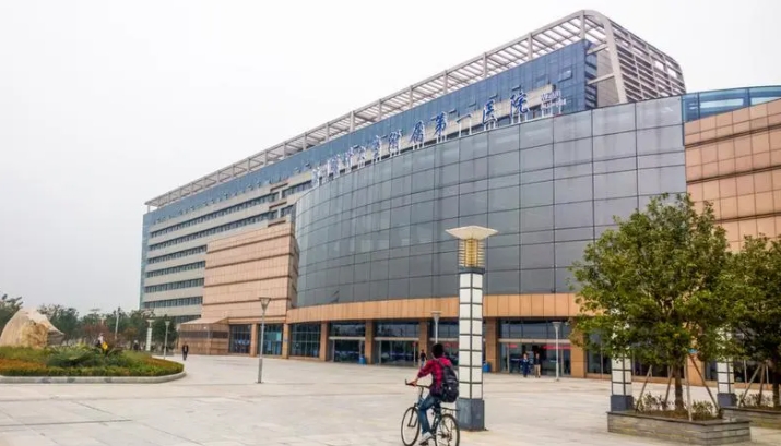 溫州醫(yī)科大學第一附屬醫(yī)院.png 溫州醫(yī)科大學第一附屬醫(yī)院.png