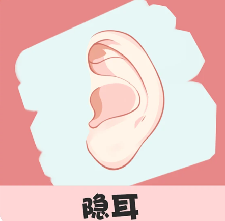 中國醫(yī)學(xué)科學(xué)院整形外科醫(yī)院蔣海越做耳朵手術(shù)怎么樣？技術(shù)好特色鮮明