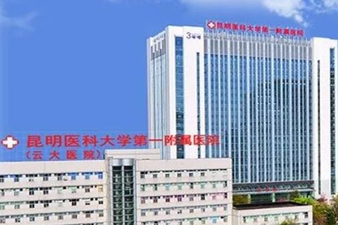 云大醫(yī)院醫(yī)美豐胸要多少錢？?jī)r(jià)格表+真實(shí)案例