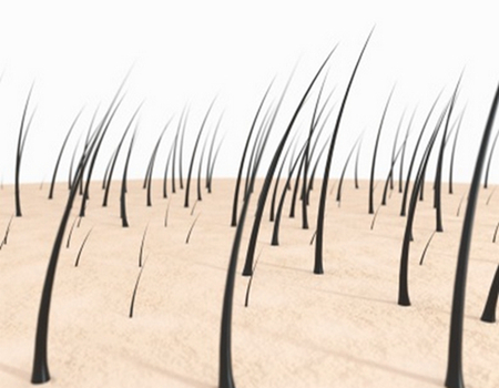 青島植發(fā)價格多少錢左右？嚴選醫(yī)美醫(yī)院上新快來了解