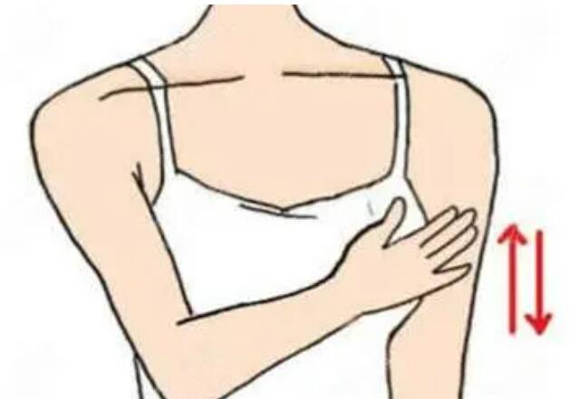 全國(guó)自體脂肪豐胸手術(shù)費(fèi)大概要多少錢(qián)?三家實(shí)力醫(yī)院推薦