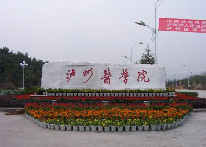 瀘州醫(yī)學(xué)院祛斑效果好不好？醫(yī)生技術(shù)口碑案例在線分析