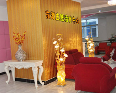 海南東湖醫(yī)療美容醫(yī)院多少錢？?jī)r(jià)格表公開！醫(yī)生攻略get~