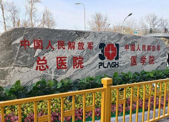 中國(guó)人民解放軍總醫(yī)院整形修復(fù)科實(shí)力怎么樣？在線分享，隆鼻術(shù)前術(shù)后美圖